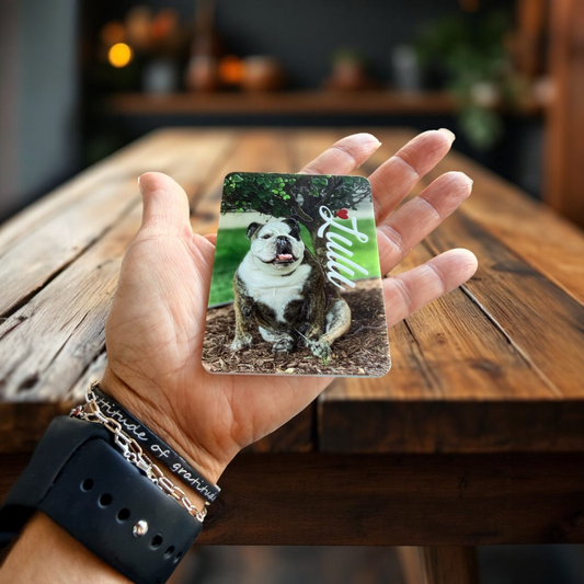 Custom Pet Relief Magnet